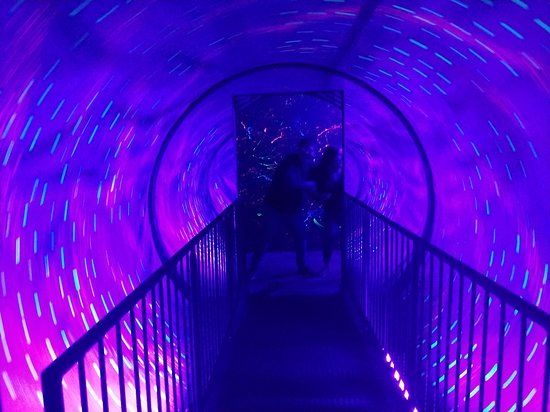 Ripley's Believe It or Not